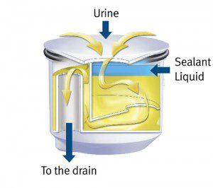 Sealant-Liquid